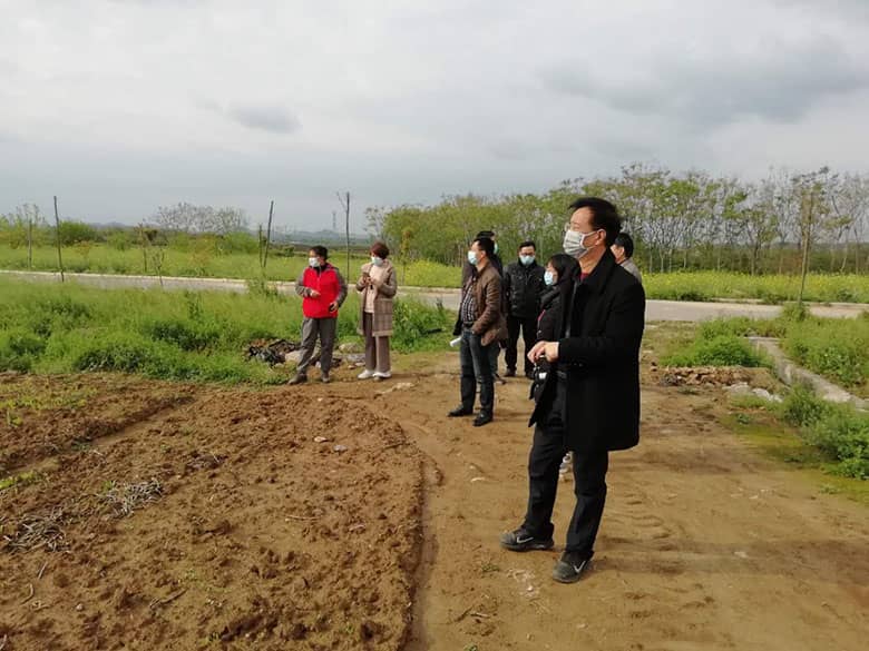 杨总在丛霖农业红薯种植基地