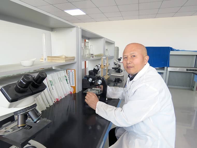 百米生物博士后专家宋东宝教授