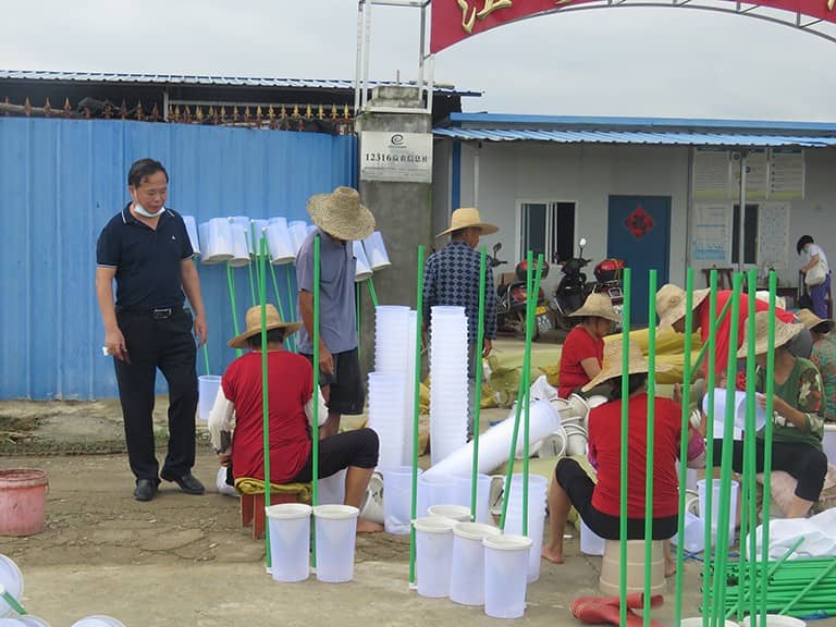 黄陂区农技推广中心邱主任现场指导工作