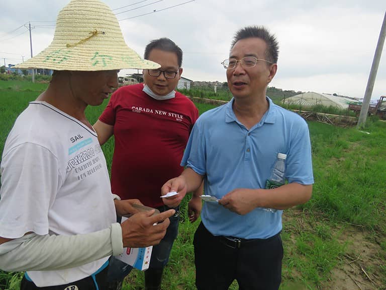 百米技术总监杨总田间指导农户投放生物导弹