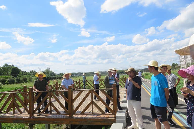 百米生物技术总监李总介绍草地贪夜蛾防控示范现场